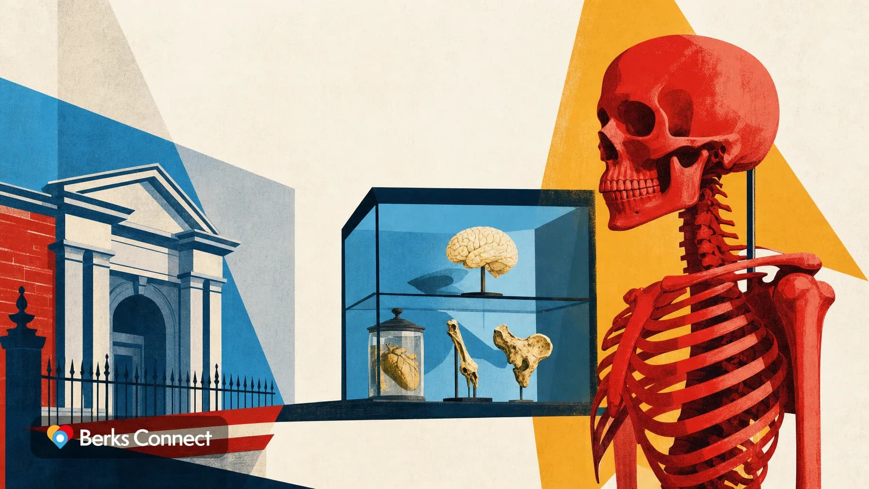 Mütter Museum