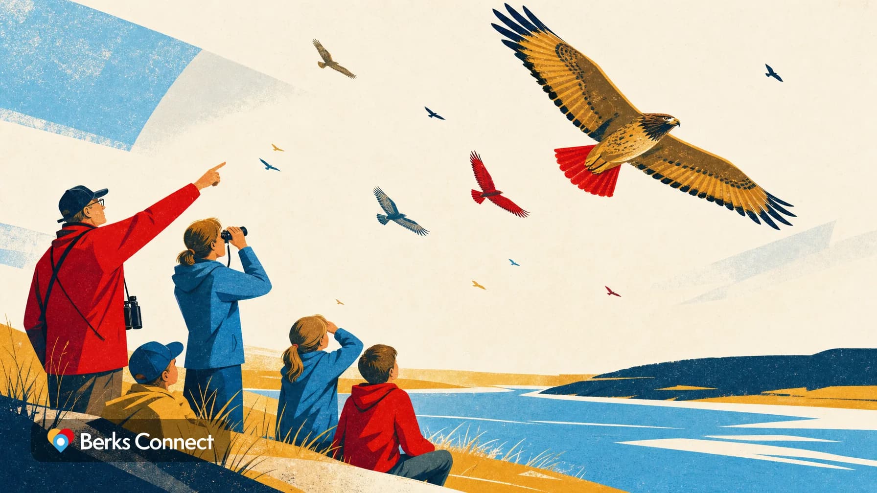 Wings Over Blue Marsh Lake: Hawk Migration