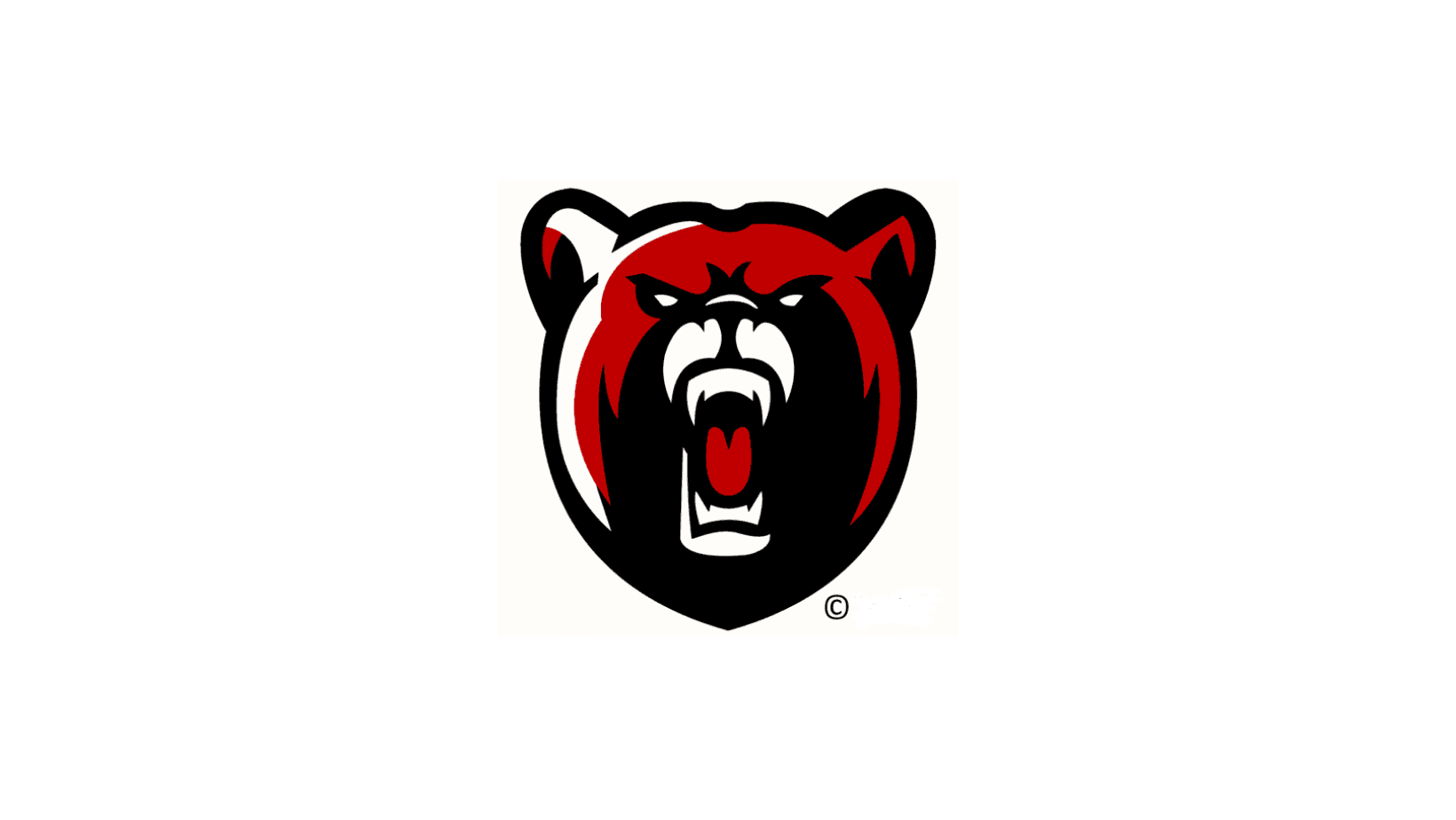 Boyertown Area School District Logo