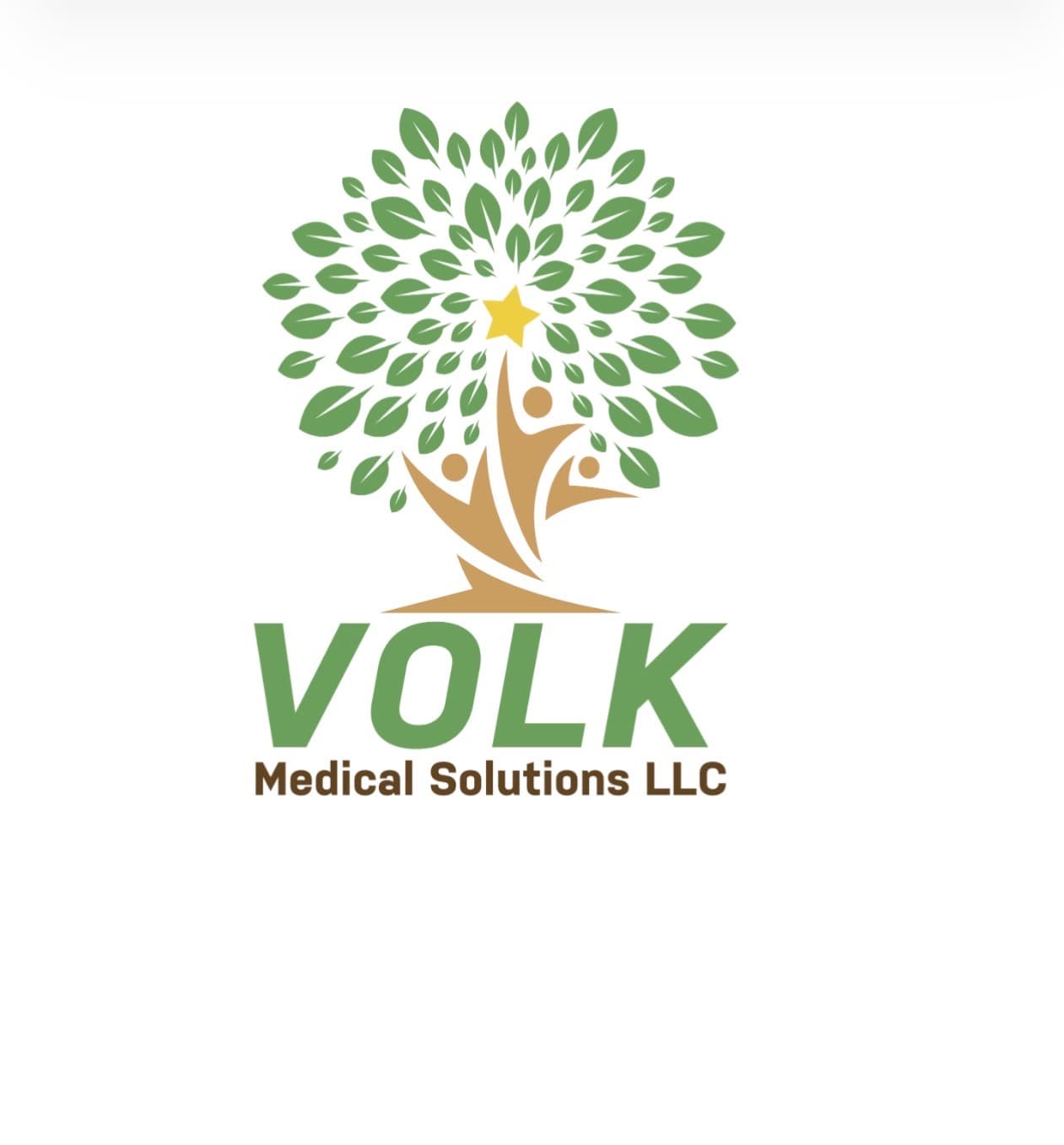 Volk Medical Solutions LLC Logo