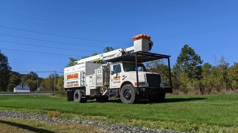 Dallas Tree Service Inc. logo