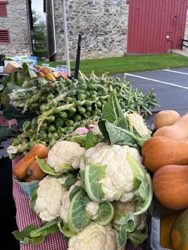 Bleiler's Produce Patch logo