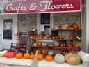 Collene's Crafts-N-Flowers logo