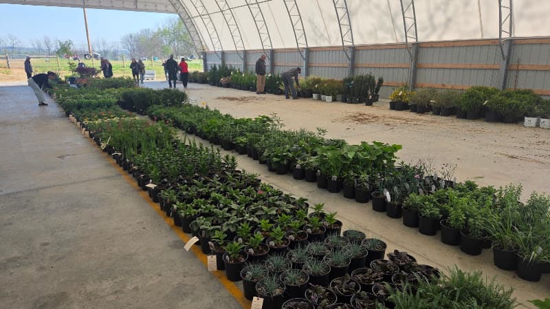 Kutztown Produce Auction Inc logo