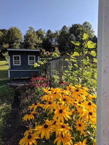 Hickory Homestead and Apiary logo