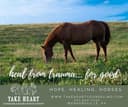 Take Heart Counseling And Equine Assisted Therapy logo