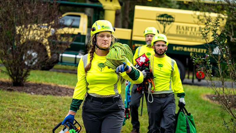 Bartlett Tree Experts logo