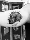 Hettinger Tattoo logo