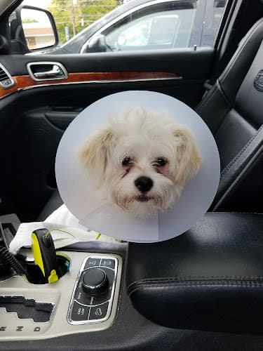 Sanatoga Animal Hospital, LLC logo