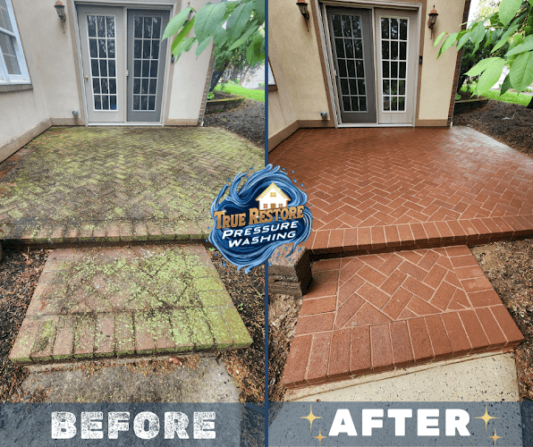 True Restore Pressure Washing logo