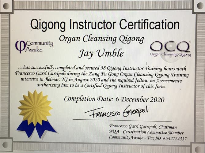 Spirit of Qigong logo