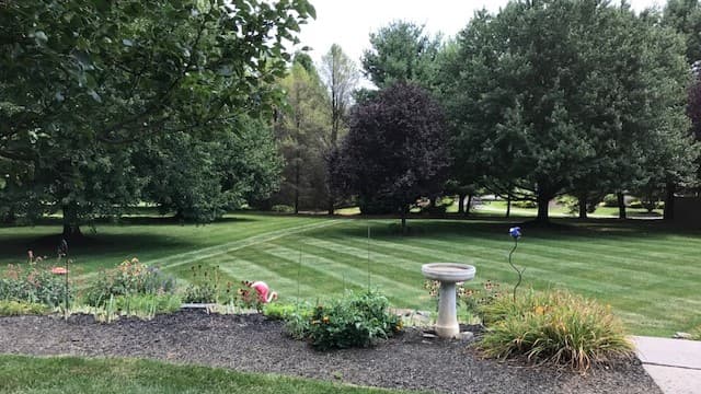 Dreamworks Landscape & Lawncare logo