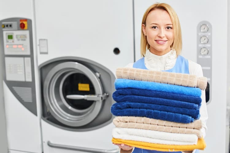 Laundry Pros logo