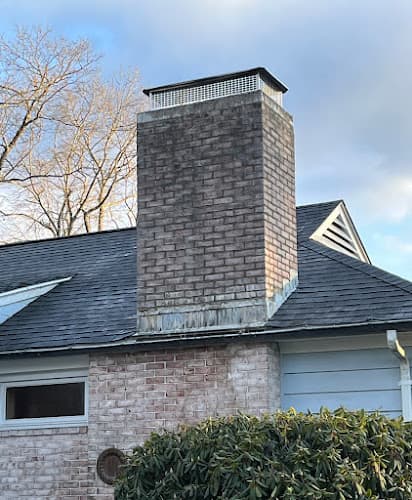 Pa Chimney Pros logo