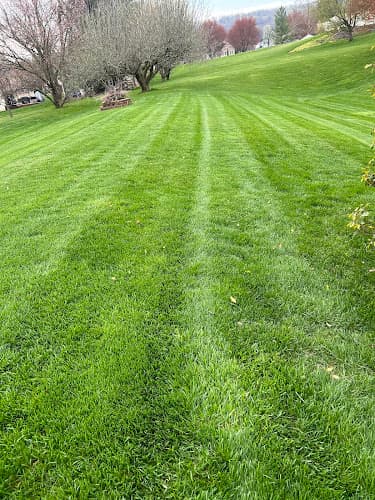 C J Kline Landscaping