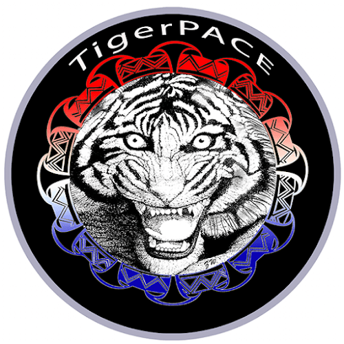TigerPACE Communications.com logo