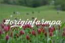 Origin Farm logo
