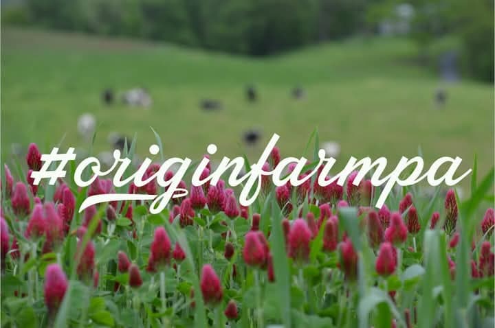 Origin Farm logo