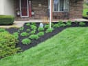 CMM Landscaping and Tree Removal logo
