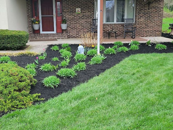 CMM Landscaping and Tree Removal Logo