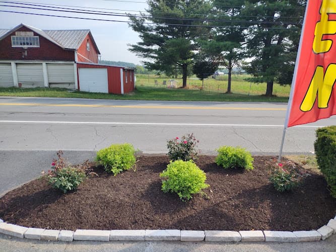 AJ Tree Expert and landscape LLC