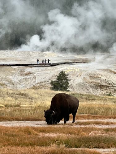 H&G Travel Adventures logo