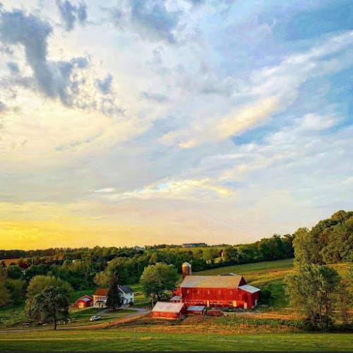 Buttercup Farm logo