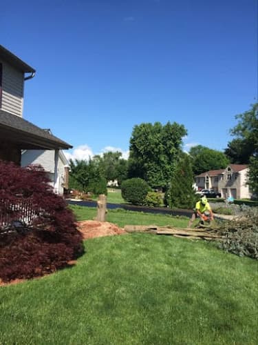 Ken's Tree & Landscape LLC logo