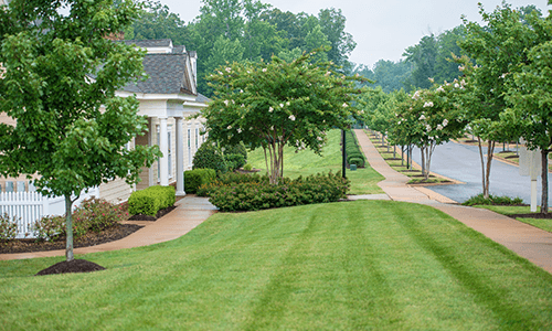 U.S. Lawns - Lancaster PA logo