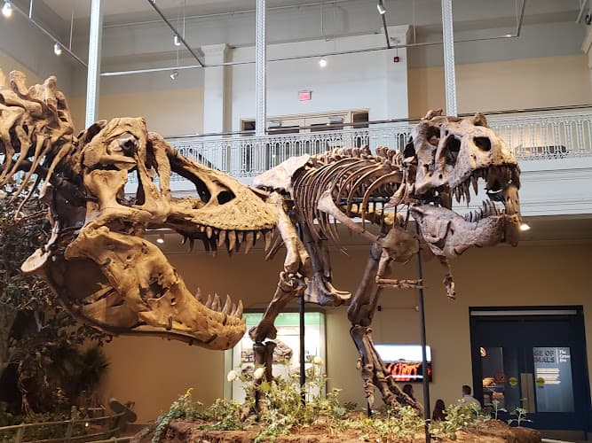 Carnegie Museum of Art logo