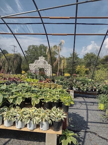 Bucks County Nursery logo