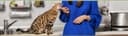 Pet Pals In Home Pet Sitters logo