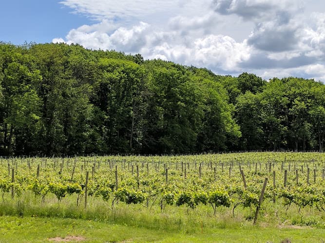 Vivat Alfa Winery logo