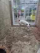 Pets Plus - Quakertown logo