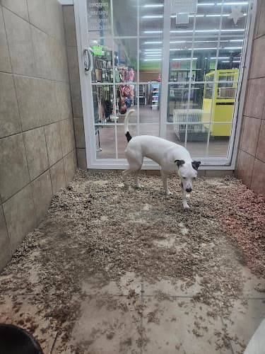 Pets Plus - Quakertown logo