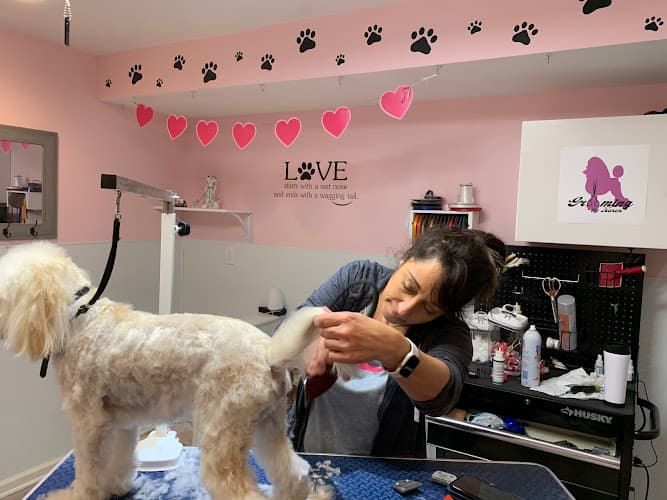 Grooming by Karen logo