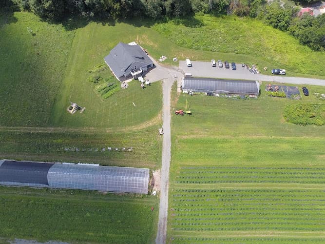 Wild Fox Farm