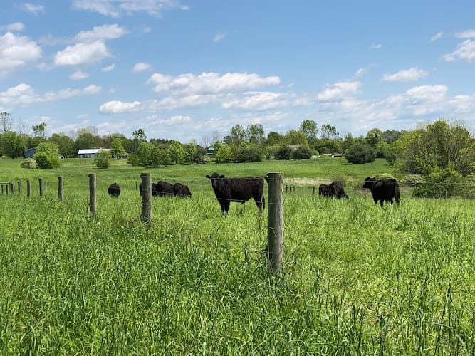 Wholesome Food Farm logo