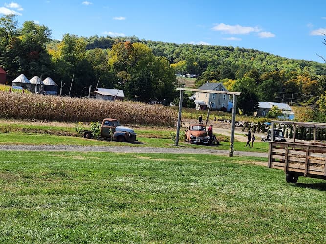 Savidge Farms Logo