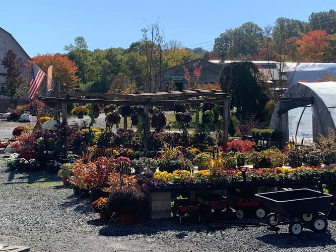 Kospia Farms