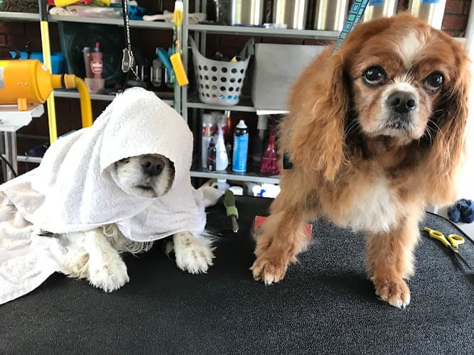 Jessa's Gentle Grooming logo