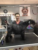 Pawlished Tails Pet Salon logo