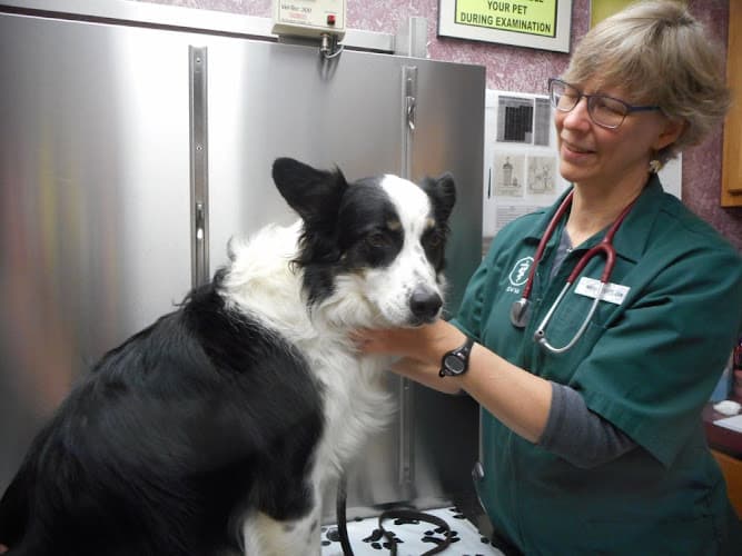 West Valley Animal Hospital logo