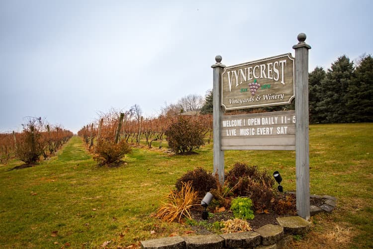Vynecrest Winery logo