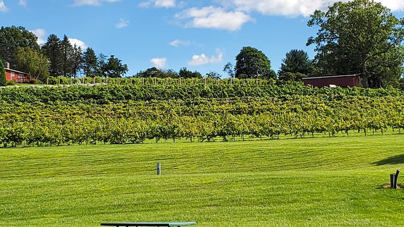 Clover Hill Vineyards & Winery logo