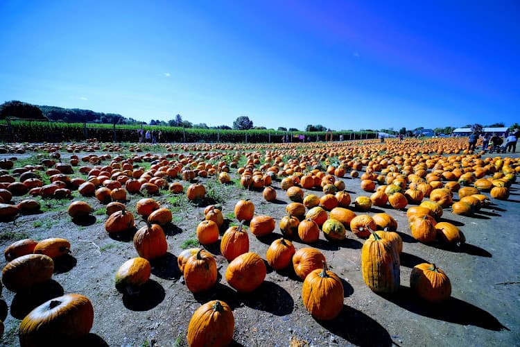 Grim's Orchard & Family Farms