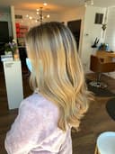 Mane Haven Salon logo