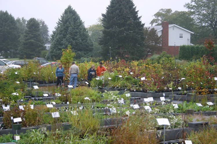 Edge of the Woods Native Plant Nursery logo