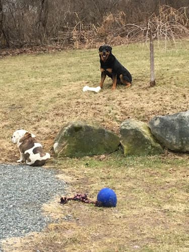 Valley Central Veterinary Referral and Emergency Center logo