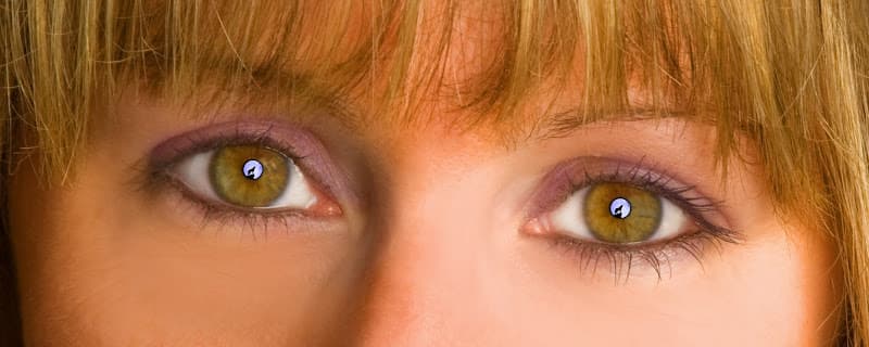 Lone Wolf Solutions CPA logo